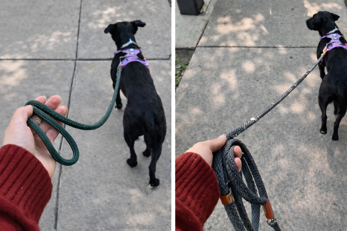 FreedomLeash™ Pro