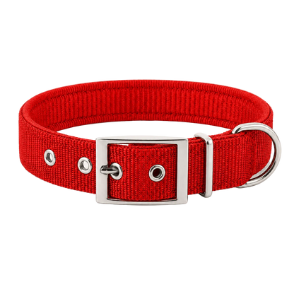 EverydayFit™ Collar