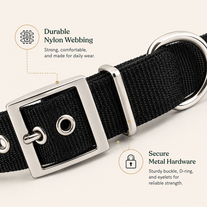 EverydayFit™ Collar