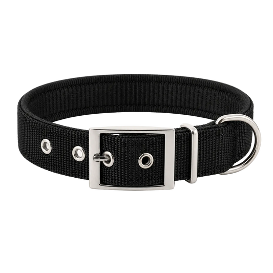 EverydayFit™ Collar